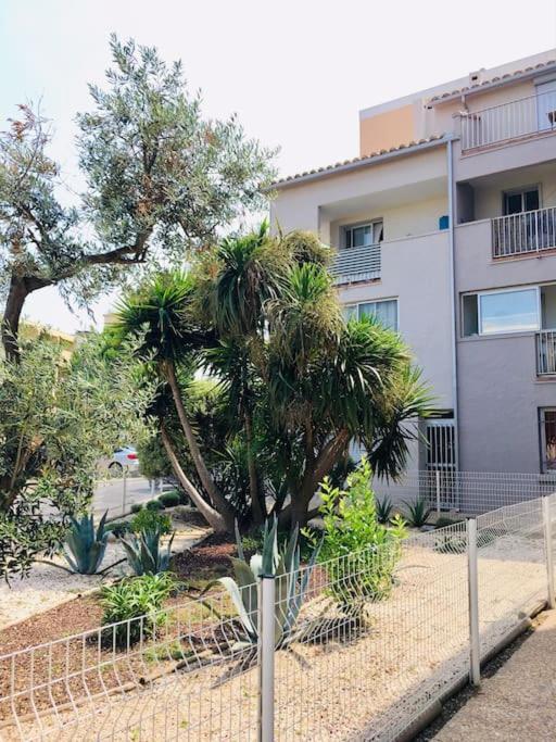 Appartement T2 Au Port De Canet-En-Roussillon - Proche De La Plage Et De L'Aquarium Oniria Exteriér fotografie